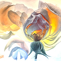Feuerblume, 2021, Acryl auf Leinwand, 100x100cm